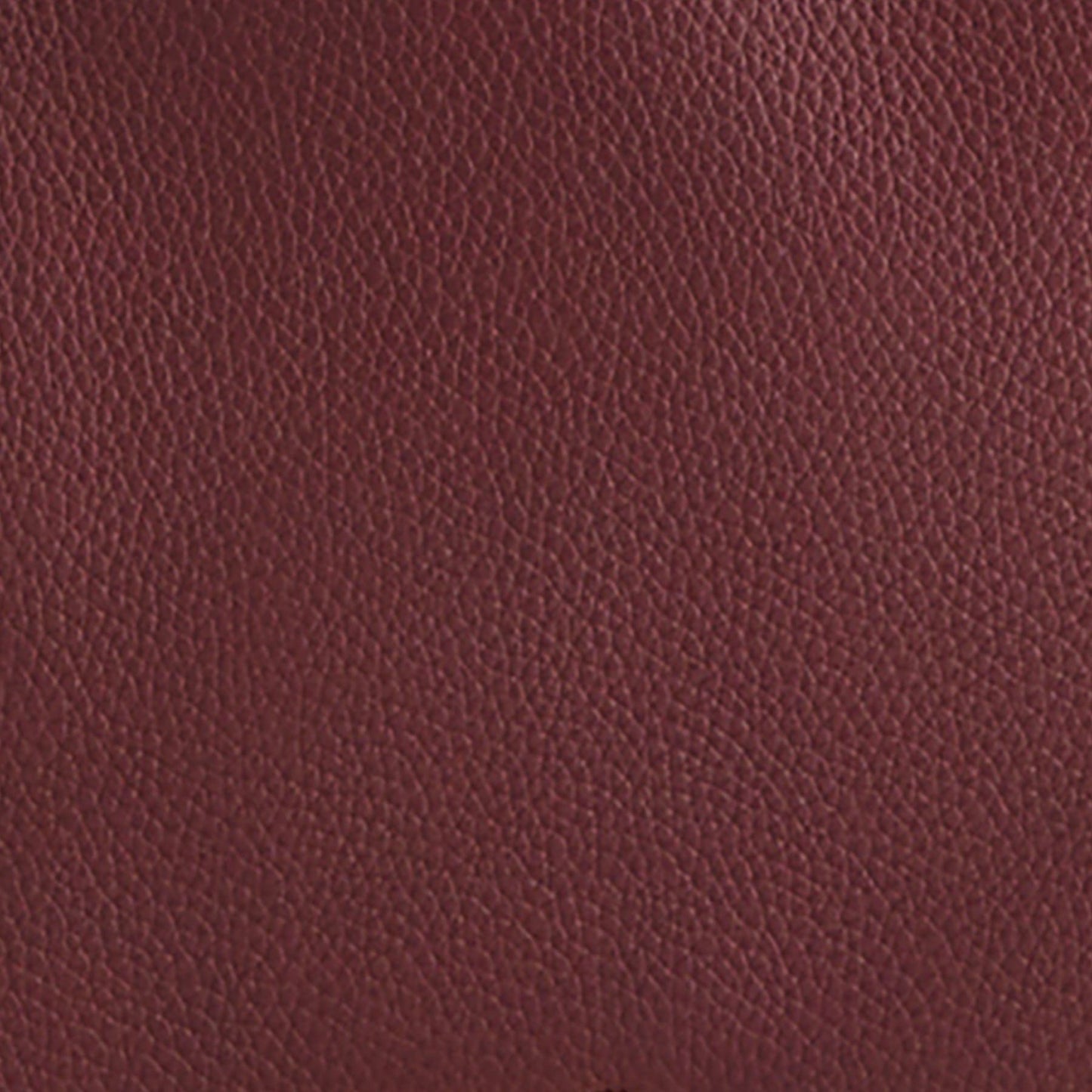 Raisin in Leather