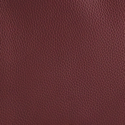 Raisin in Leather